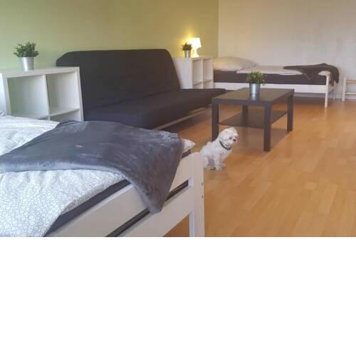 1 A Ferienwohnung Modern Duisburg