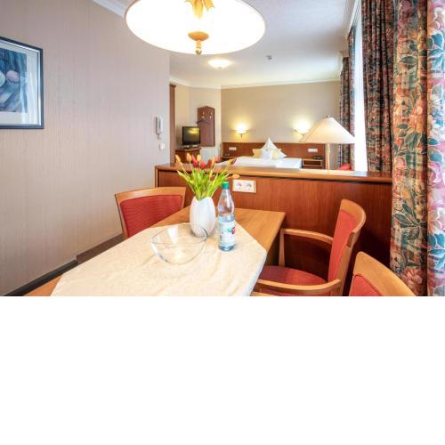 1 Raum Apartment großer Balkon