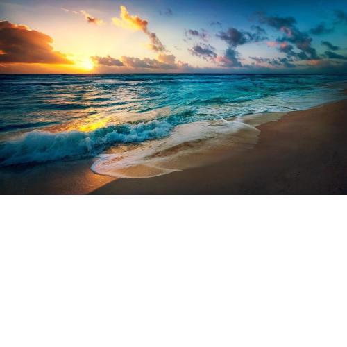 1 Schlafzimmer Ferienwohnung am Strand