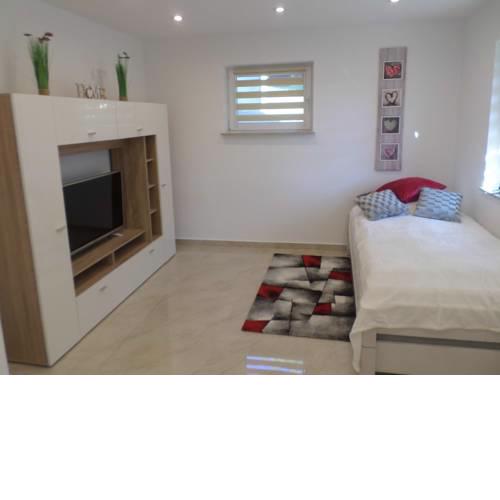 1 Zi. Apartment Nähe Flughafen/Messe Stuttgart 24h