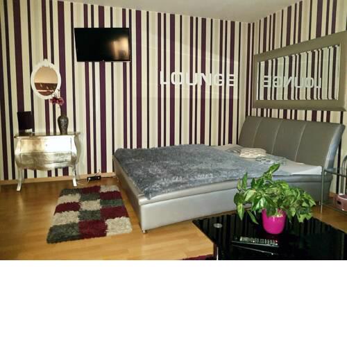 1-Zimmer Ferien oder Buiseness Appartement 30 qm