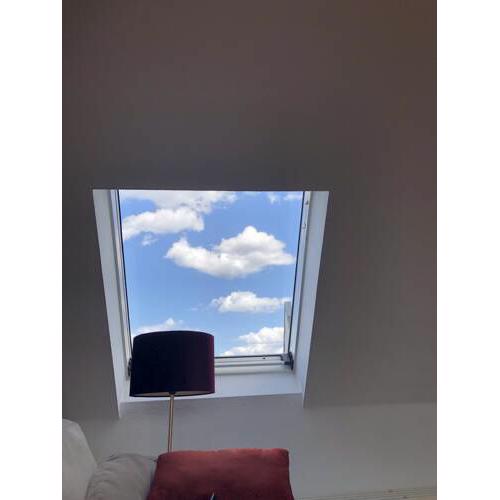 100 qm Dachgeschosswohnung Bahnhof Botanischer Garten S1
