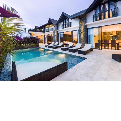 14 Palms