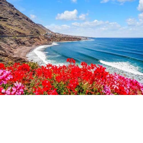 2 bedrooms appartement with sea view enclosed garden and wifi at BajamarB