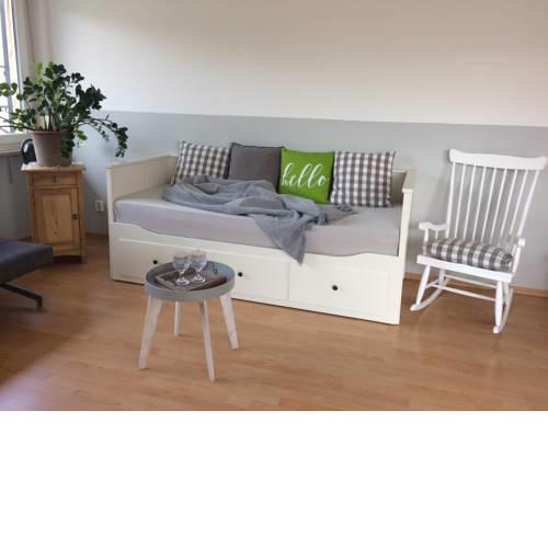 2-Zimmer-Apartment am Park