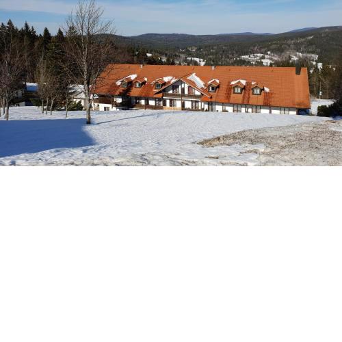 2 Zimmer Mitterdorf
