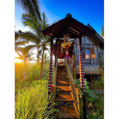 20%OFF-Perfect Hideout Into Bali Nature-Mountain
