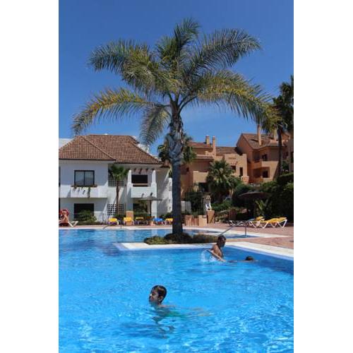 2114-Apt with nice terrace with pool view