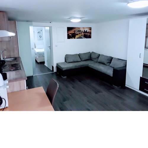 2Zimmer Apartment Wohnküche und Schlafzimmer