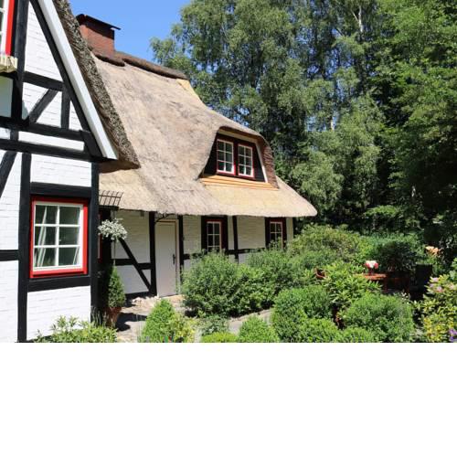 3 apartments in thatched cottage with outdoor sauna, large garden, playground