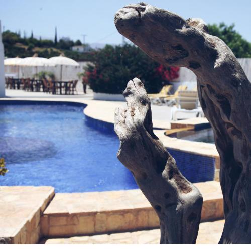 3 Bed apartment in luxury Country house with Pool