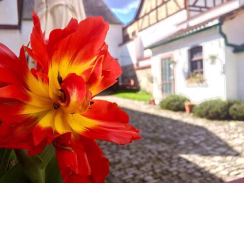 3 Seiten Ferienwohnung