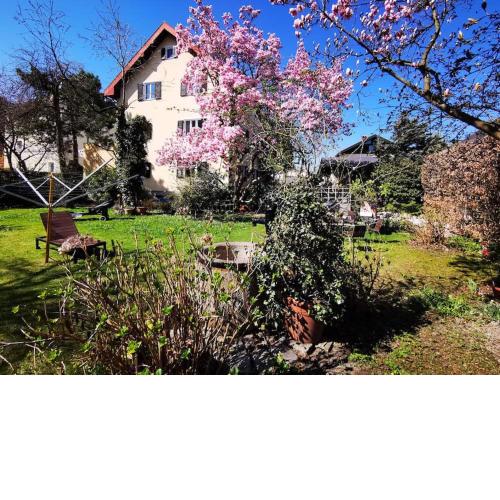 3-Zimmer-Wohnung im Süden von Salzburg (Hallein)
