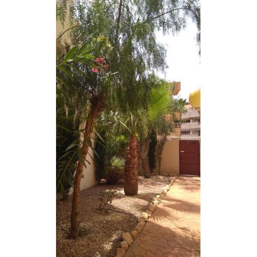 3080- El Bosque