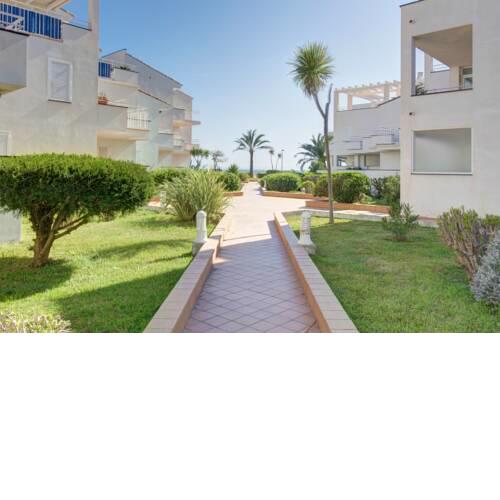 3277 PLATJA