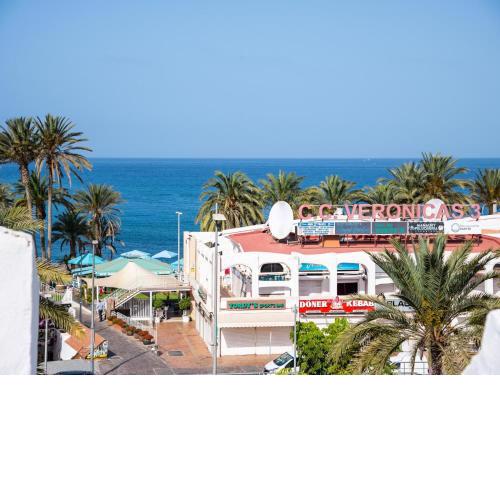 35 Las TORTUGAS IN PLAYA Las AMERICAS, NEAR THE SEA