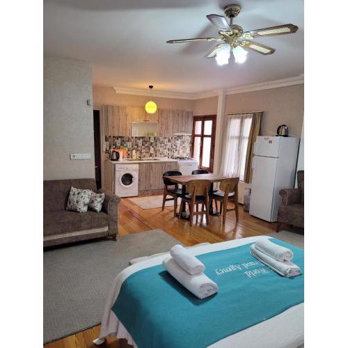 4 bedroom duplex villa with terrace Sultanahmet