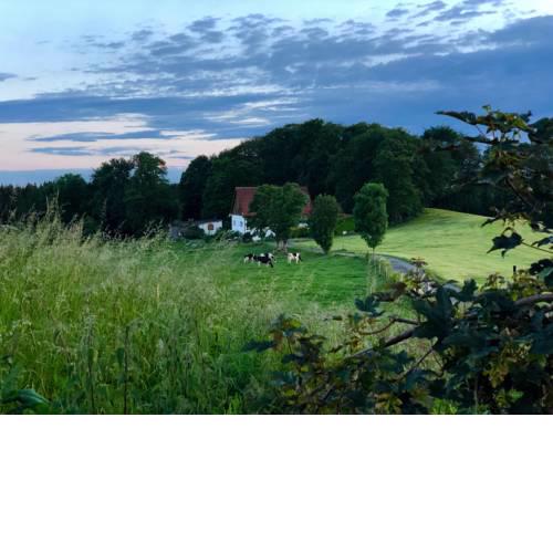 4-Zimmer Apartment auf Resthof
