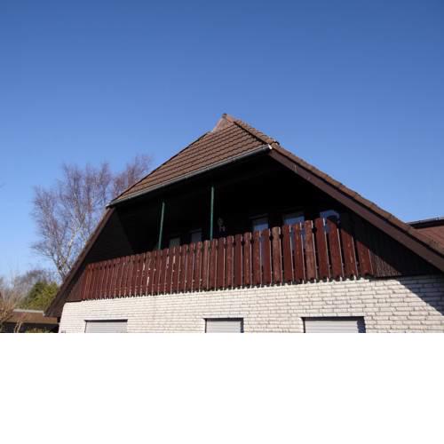 50041 Muschelbank