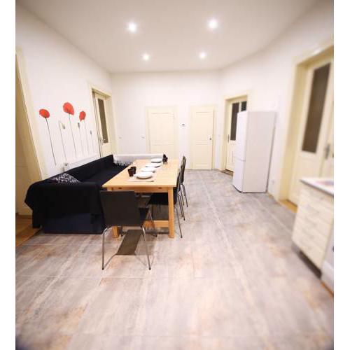 7BDR apartment in the center