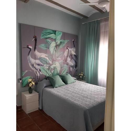 A 20 METROS DE LA MEZQUITA APARTAMENTOS TURISTICO CESPEDES 5