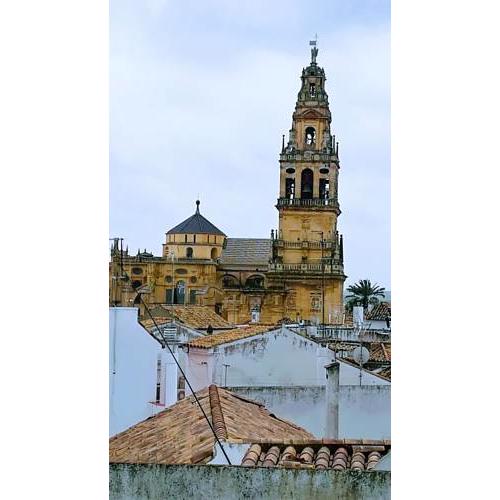 A Escasos Metros De La Mezquita
