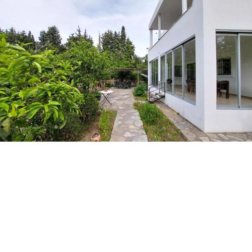 A peaceful house for the mandarin garden in Gümüşlük