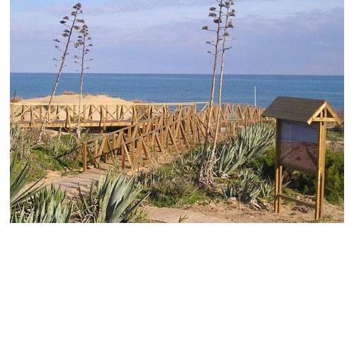 A small paradise
