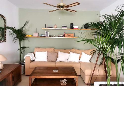 ABA Tropical Colonial