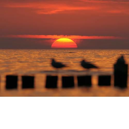 Beautiful Apartment in Kuhlungsborn with Sea View