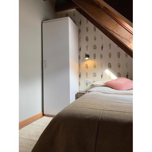 ACOGEDOR DÚPLEX DE 3 HABITACIONES EN BOSSOST
