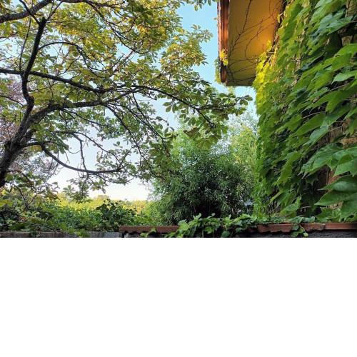 Acogedora casa en Majadahonda
