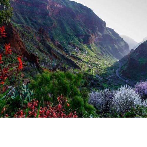 Acogedora Casa Rural en Gran Canaria