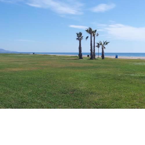 ACV - Cala Blanca II-1ª Linea Planta 4 Norte 1