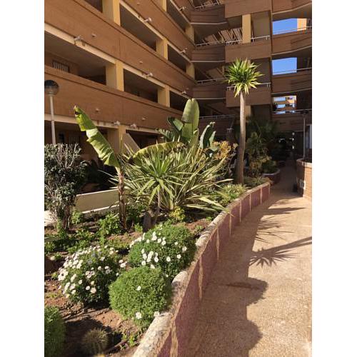 ACV - Costa Caribe I-2ª Linea Planta Baja Sur