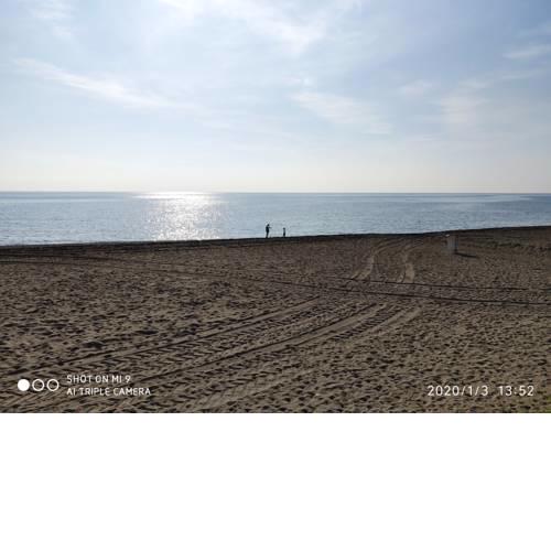 Adelfas Mar