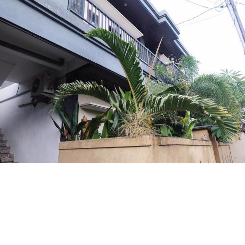 Adi surya guest house
