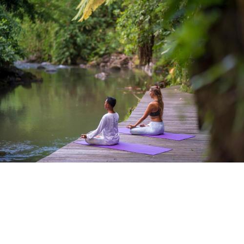 Adiwana Svarga Loka - A Retreat Resort