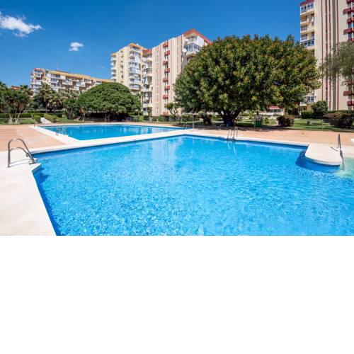 Agata 236