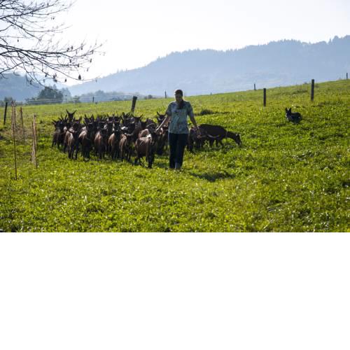 Agroturistika kozí farma Rožnov pod Radhoštěm