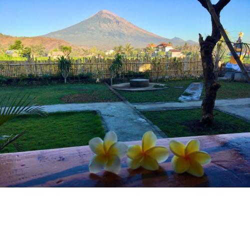Agung Inn Amed