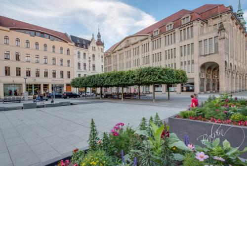 Akzent Hotel Am Goldenen Strauss