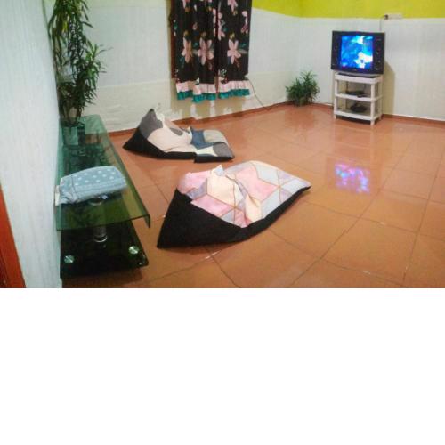 Al Najmi homestay