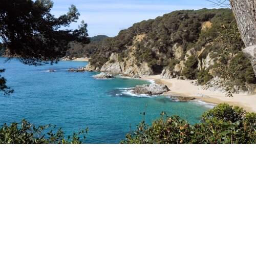 AL15 - Apartamento 1 para familias a 300 m playa Fenals