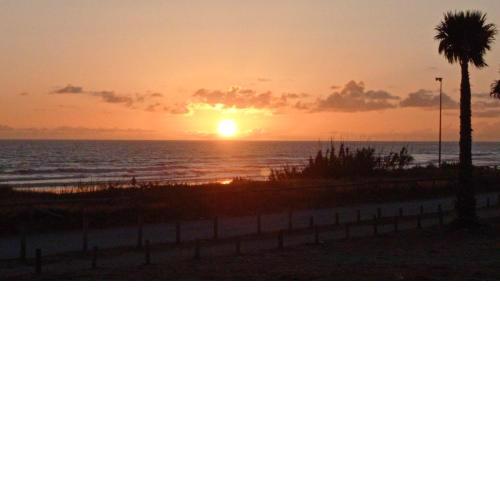 Alamar Mijas Sweet Apartament