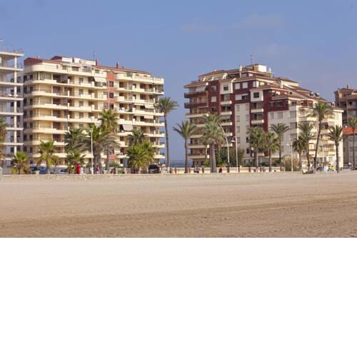 Albatros I Orange Costa