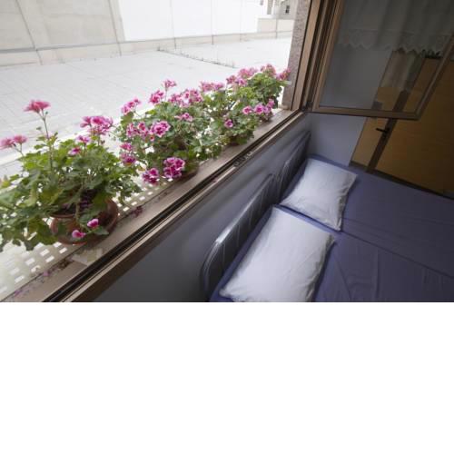 Albergue Albas