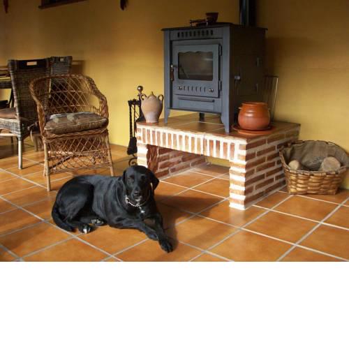 Albergue Estrella Del Camino