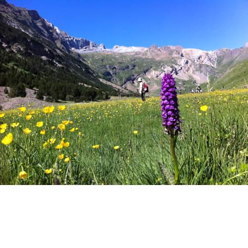 Albergue Monte Perdido