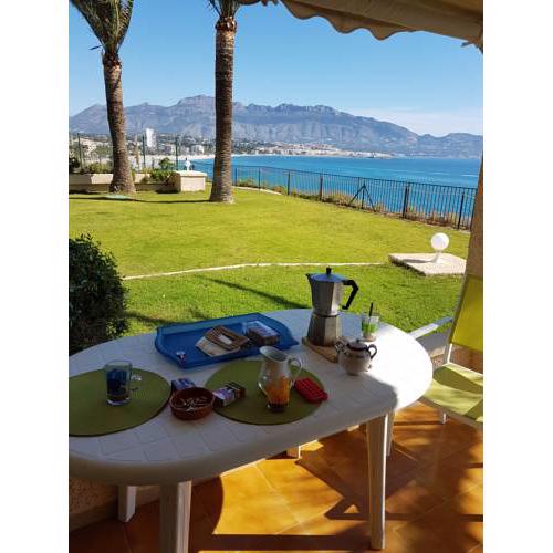 Albir Up Albimar